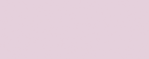 320 rose